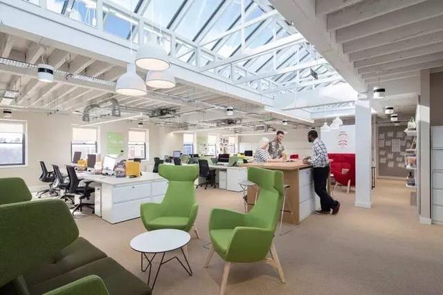 150億市場潛力，辦公室裝修也要開始考慮狗狗的感受了